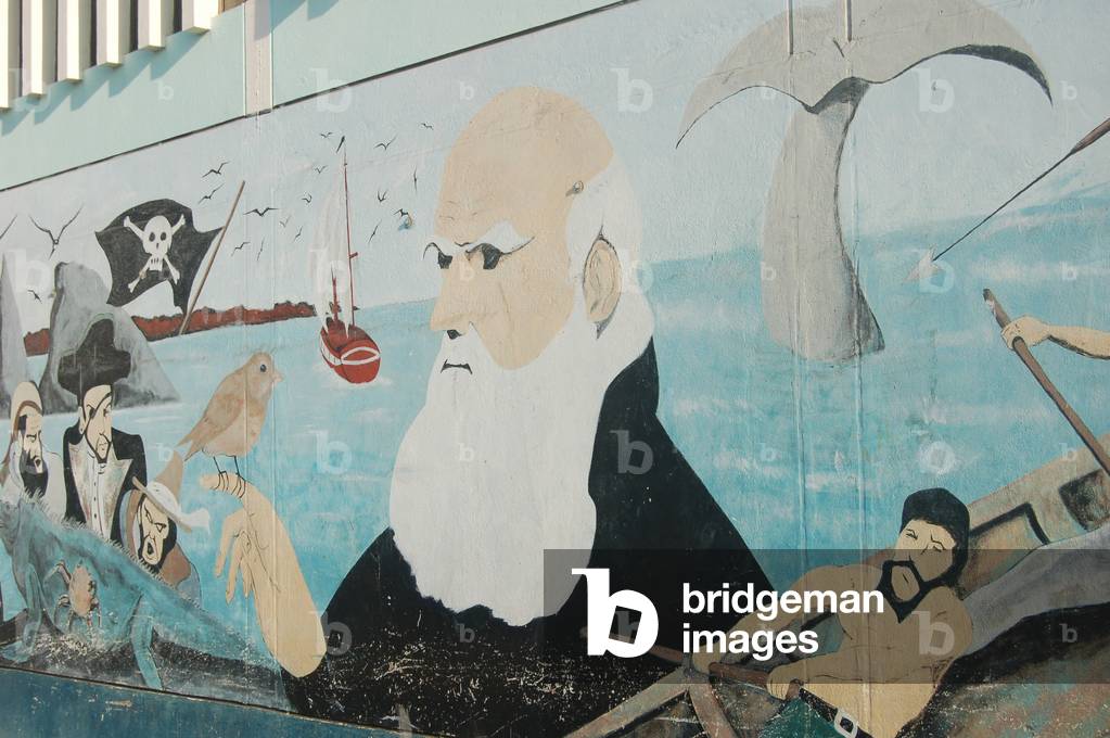 Charles Darwin Portrait, Puerto Ayora, Galapagos (photo)