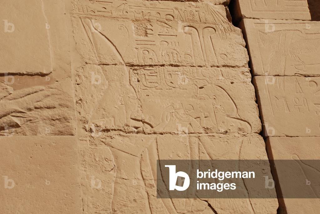 Carving in Wall, Karnak, Luxor, Egypt (photo)