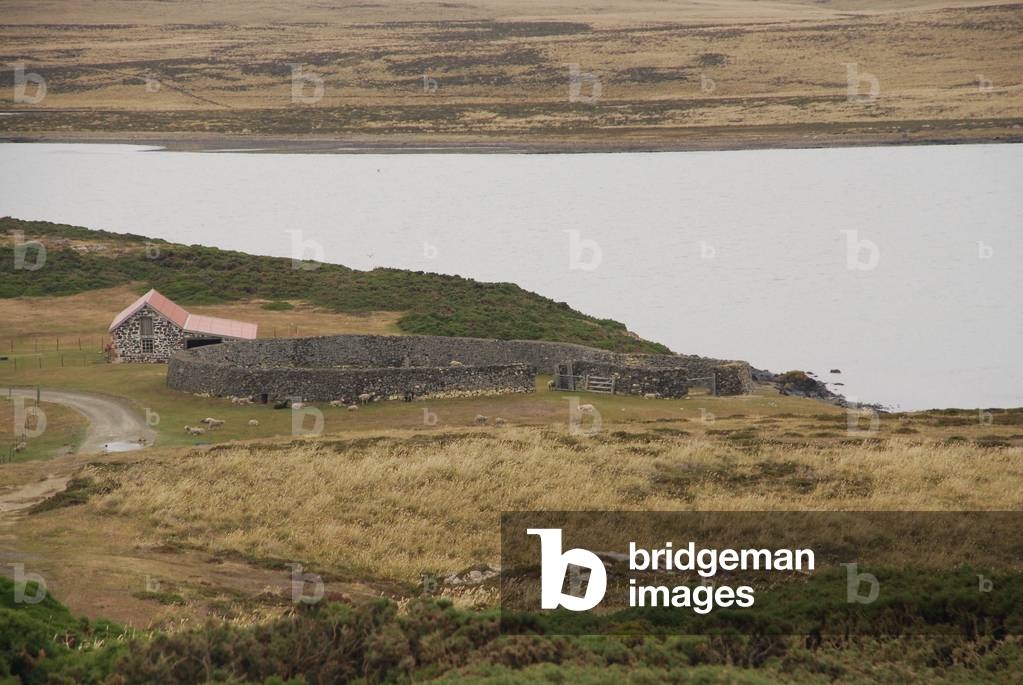 Sheep Corral, Darwin, Falkland Islands (photo)