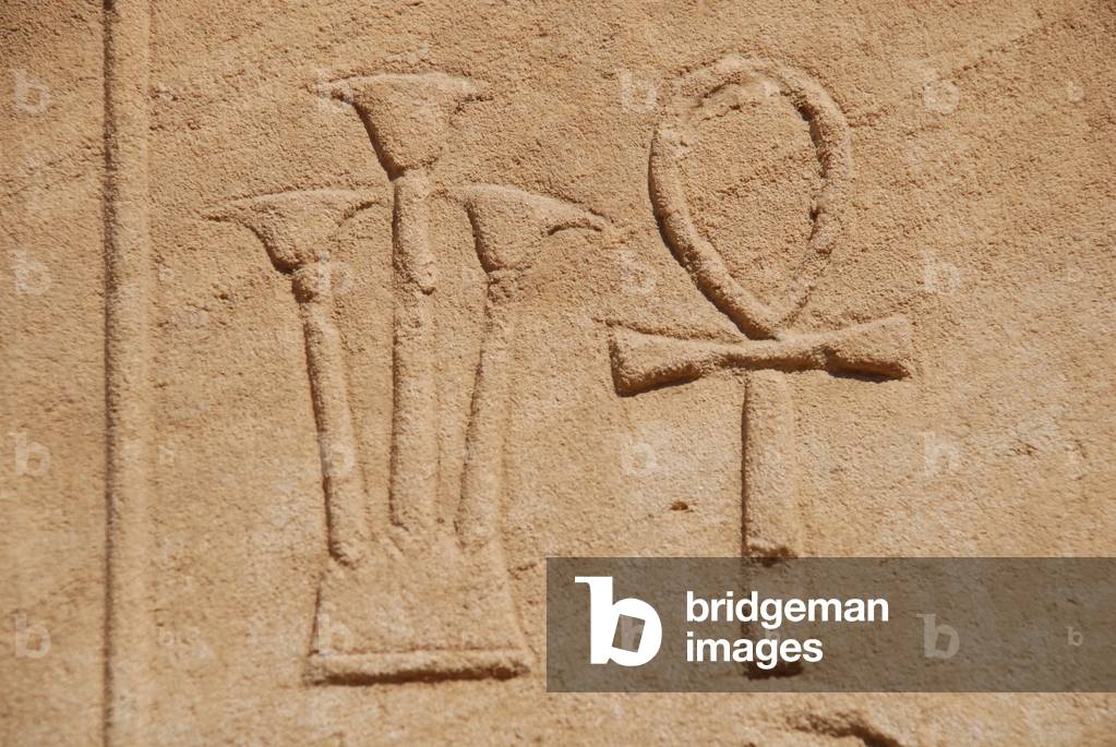 Lotuses, Karnak, Luxor, Egypt (photo)