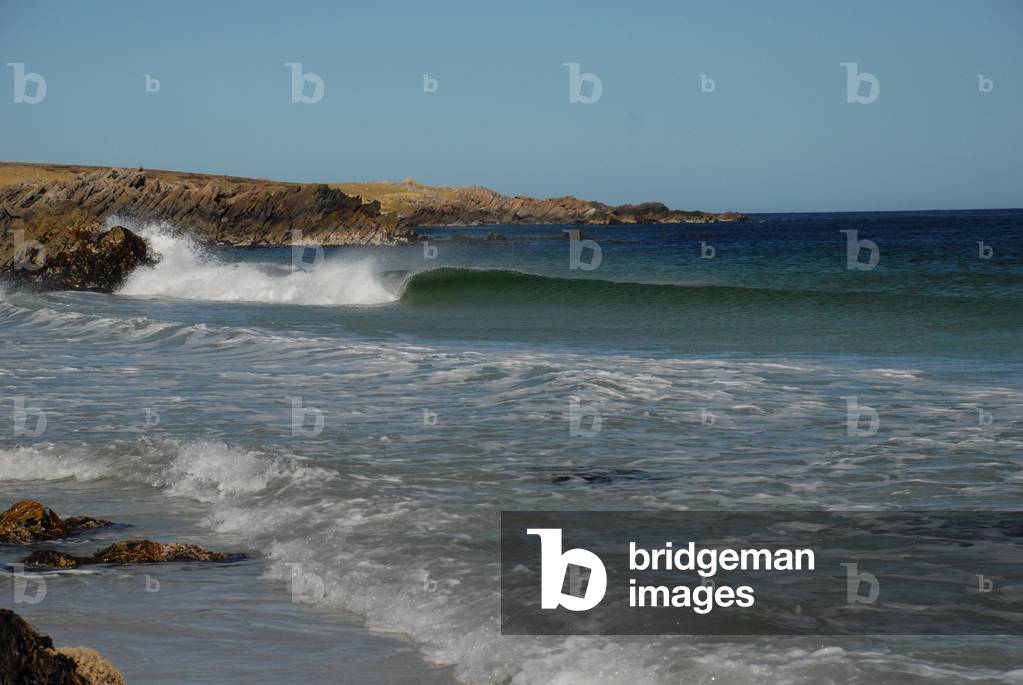 Wave, Surf Bay, Falkland Islands (photo)