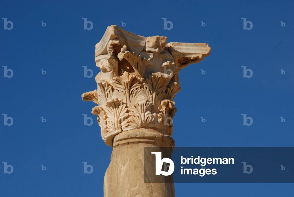 Corinthian Column, Sabratha, Libya (photo)