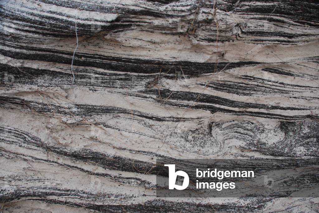 Peat in Sand, Pembroke Point, Falkland Islands (photo)