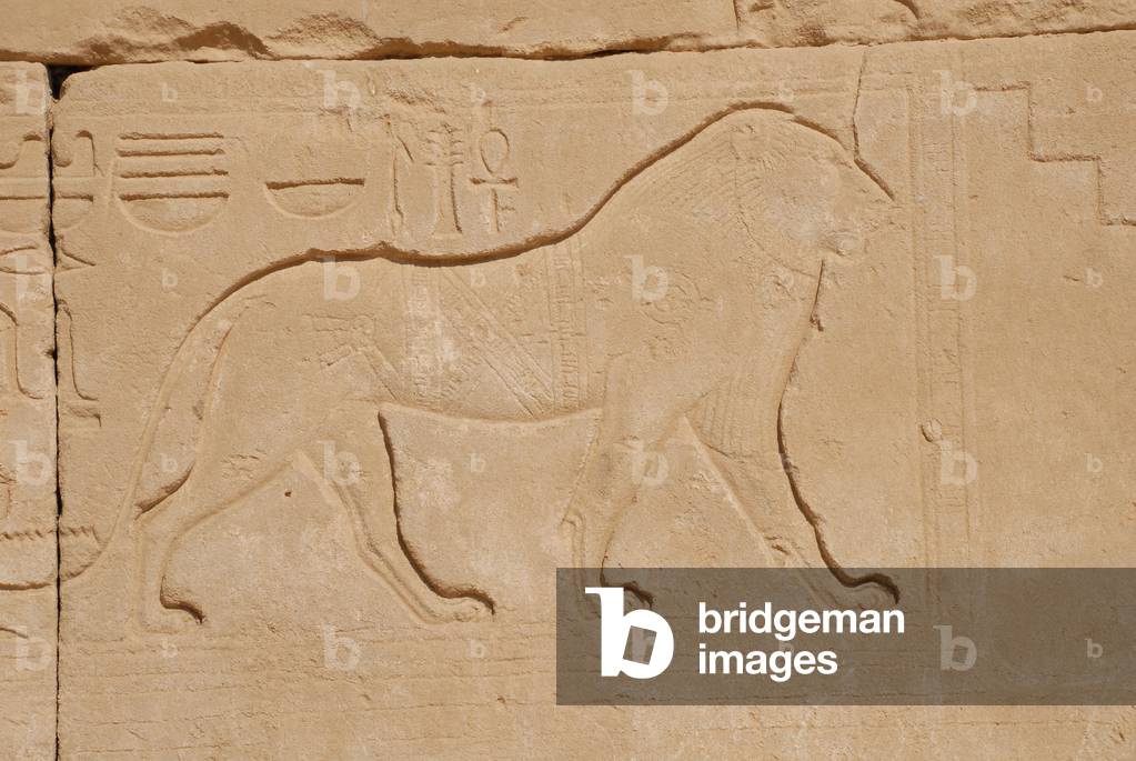 Lion carving, Karnak, Luxor, Egypt (photo)