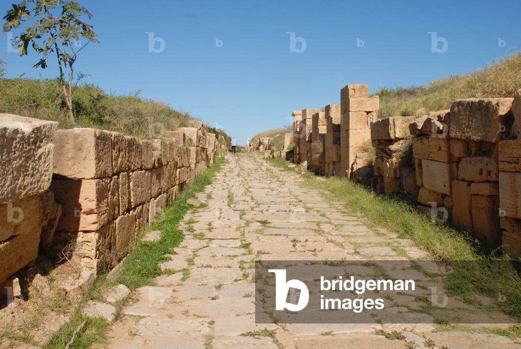 Road, Leptis Magna, Libya (photo)
