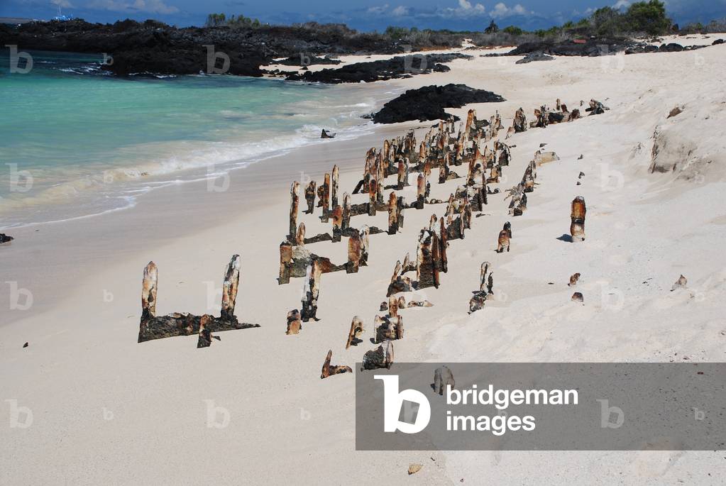 Wreck, Baltra, Galapagos (photo)
