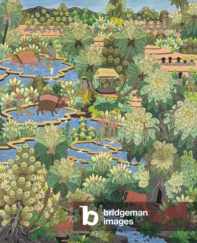 Rice Paddies, Ubud, Bali by Narda