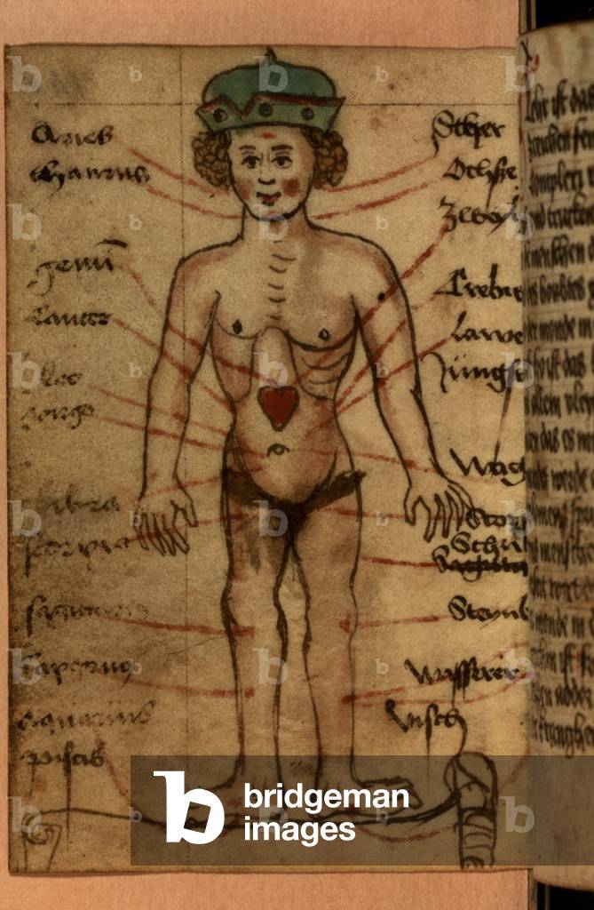 Zodiac diagram showing the position of the heart, from a collection of prayers and astrological figures (vellum)