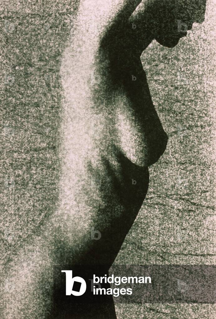 Torso of Nude Woman