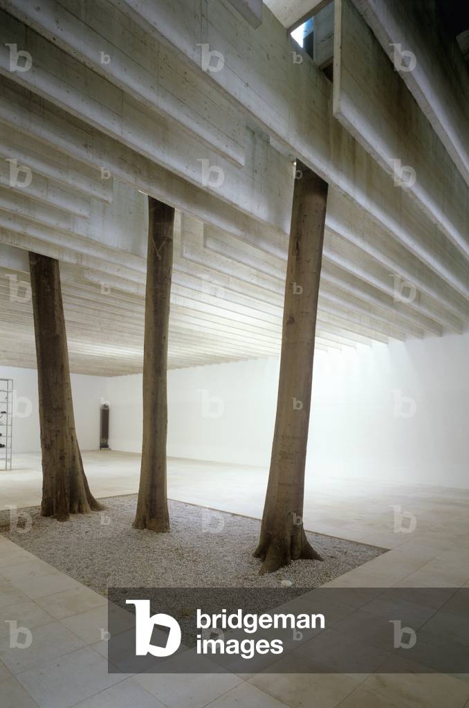 Scandinavian Countries Pavillion at the Biennale Gardens in Venice, Italy (photo)