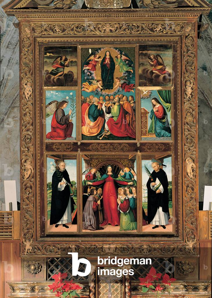 Madonna of Mercy, (tavola)