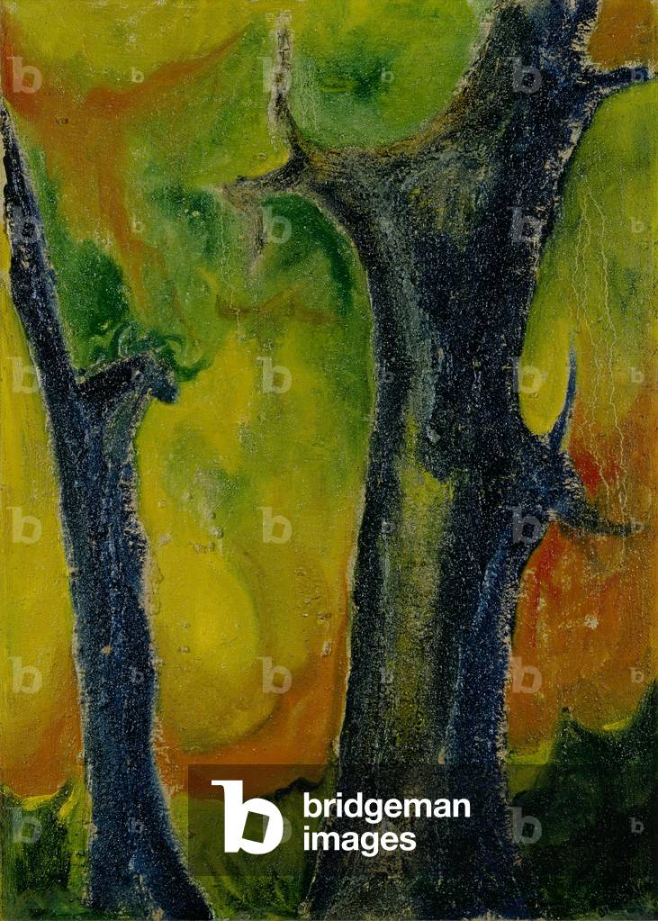 No Title (Senza titolo), by Bianca Bianchini, 20th Century, oil on canvas