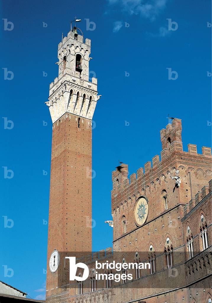 View of Palazzo Pubblico and the Mangia Tower,