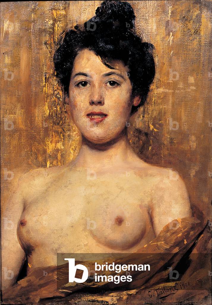 Nude, 1901 (oil on canvas)