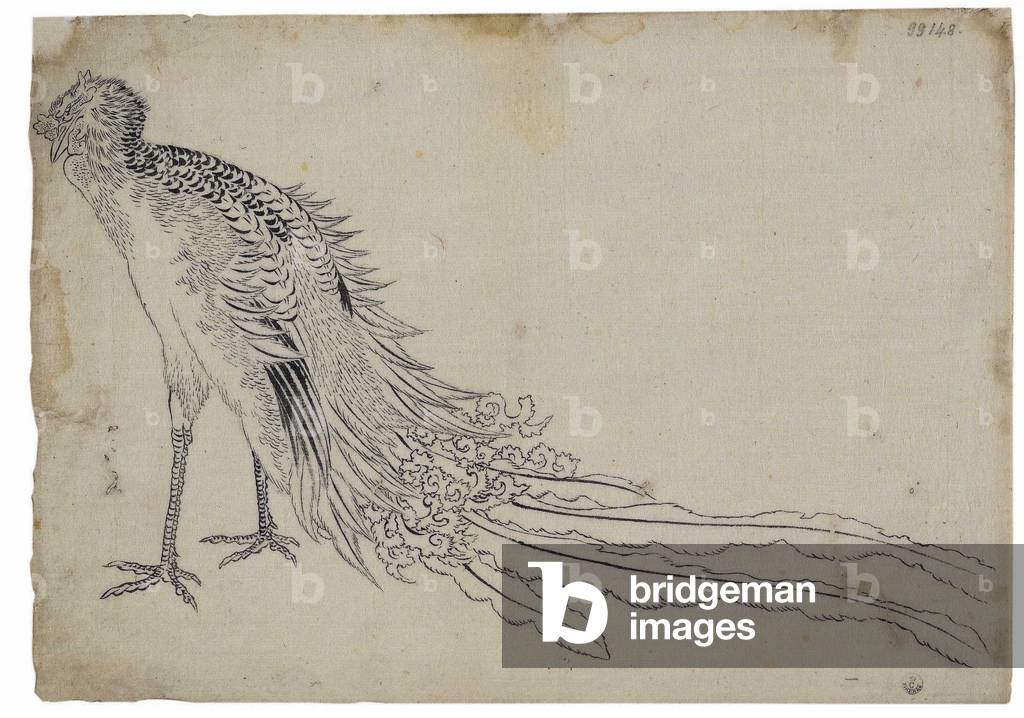 Image of Mythologie representation du phenix (phoenix). Dessin de