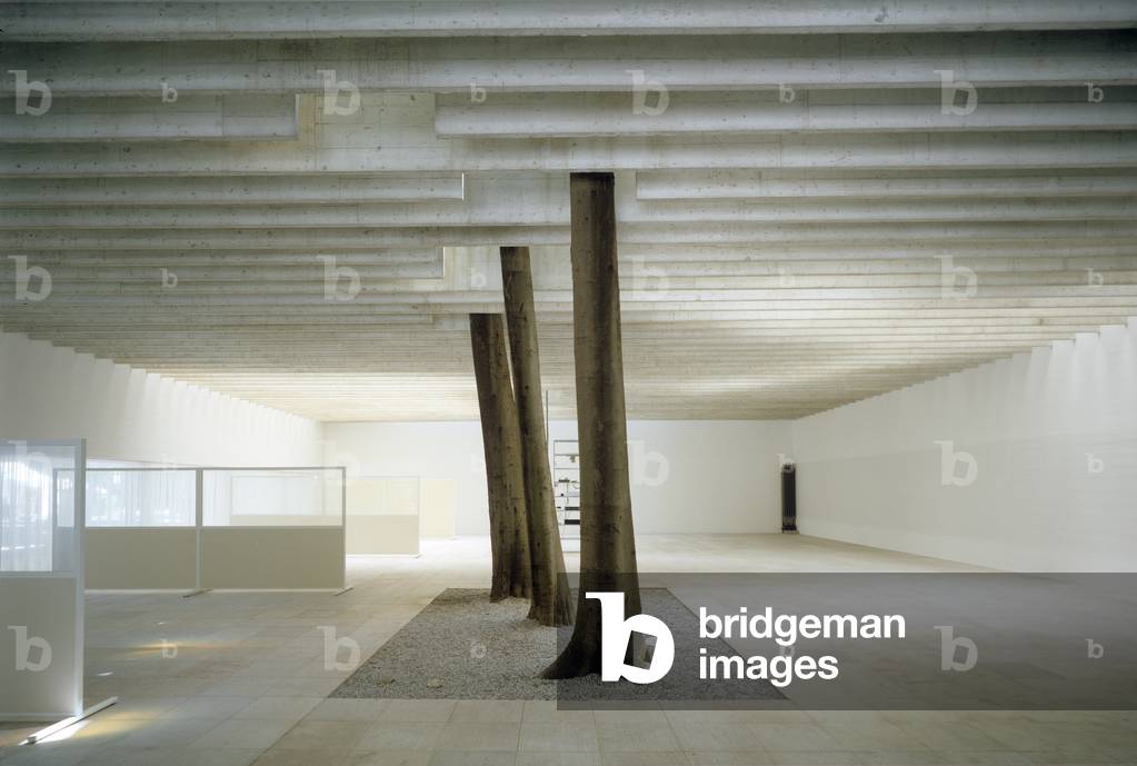 Scandinavian Countries Pavillion at the Biennale Gardens in Venice, Italy (photo)
