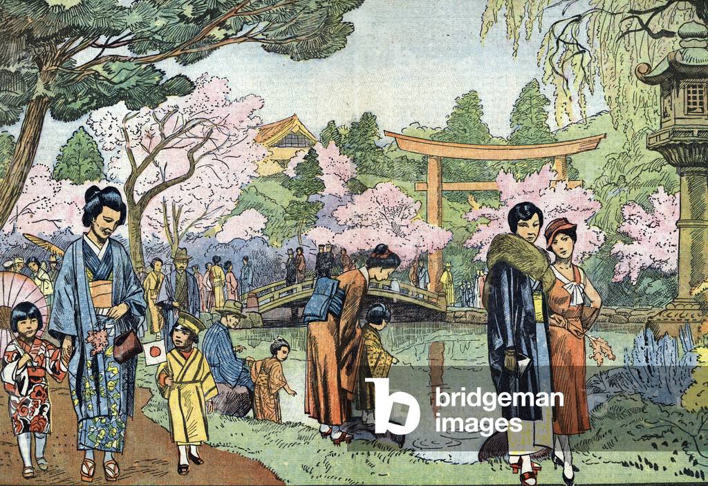 Cherry Blossoms in Spring, Japan (Japanese cherry blossoms in Japan at spring, april 1933) Illustration from “” Le pelerin”” 1933 Private collection