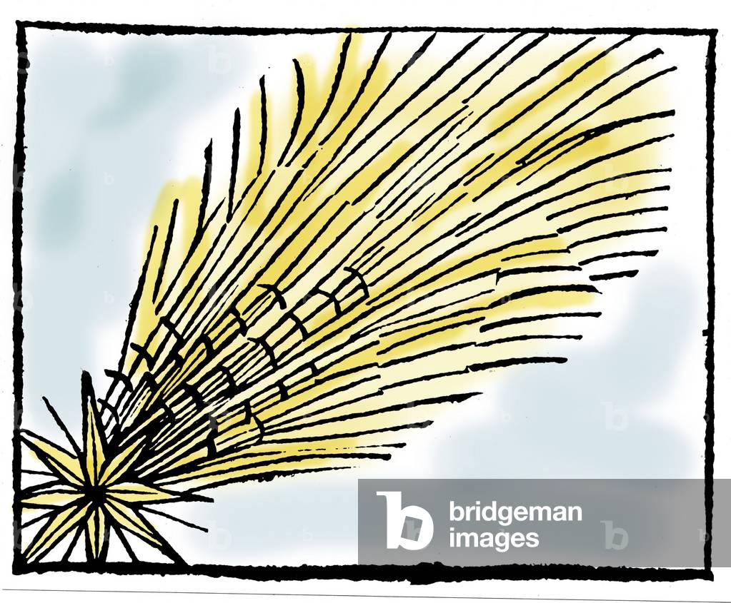 Cometa di Halley, 684) Dopo Nuremberg Chonics di Hartmann Schedel («Liber chronicarum mundi») Collezione priva