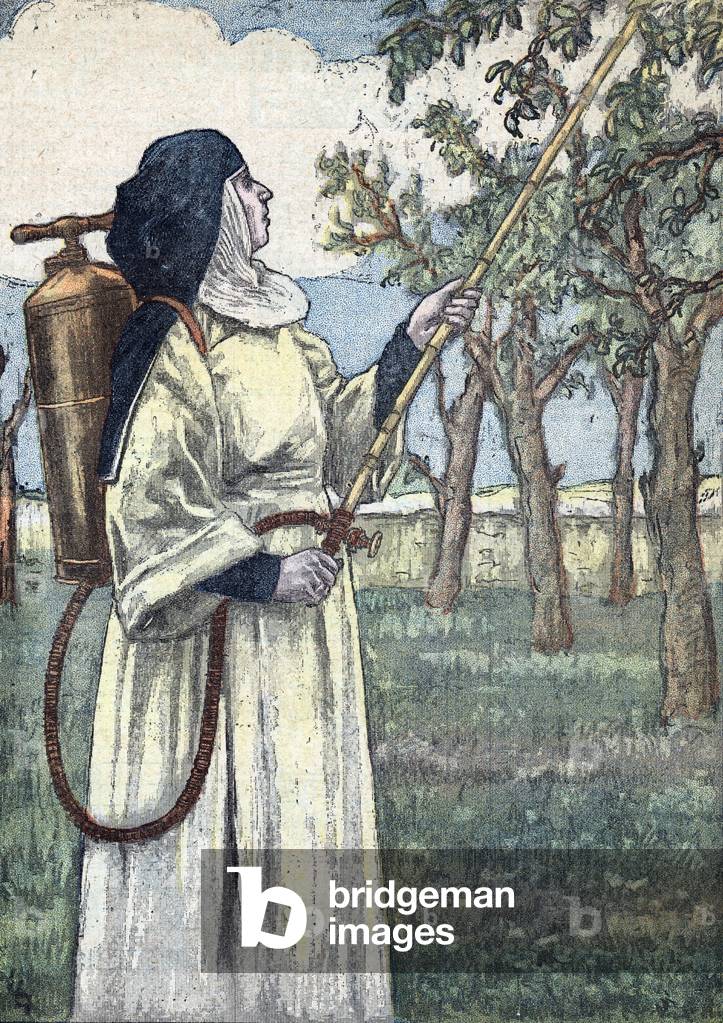 A Dominican nun of the convent in Bavaria using insecticides on trees in the orchard from “” Le pelerin” may 1934 Private collection