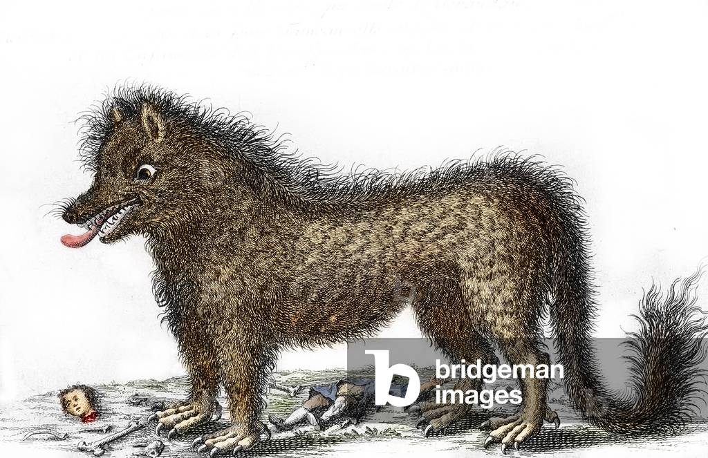 Representation of the bete of Gevaudan, the bones of his victims scattered around his legs Engraving around 1764 (The beast of the Gevaudan in a representation of 1764) Private collection