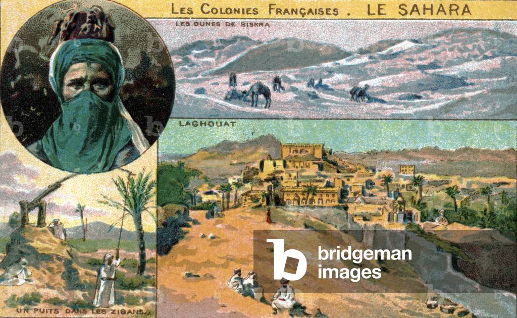 French possessions and colonies: french Sahara. End of the 19th century (chromolithograph)