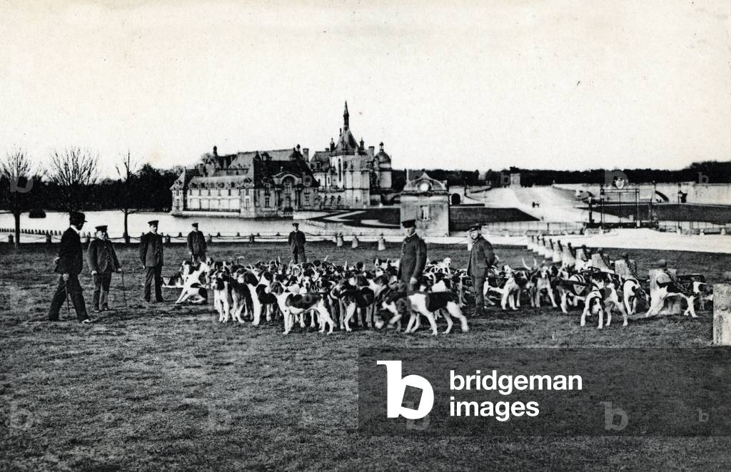 The pack of hunting dogs in Chantilly castle in the Oise, Picardie (pack of hunting dogs in Chantilly castle) Postcard 1910