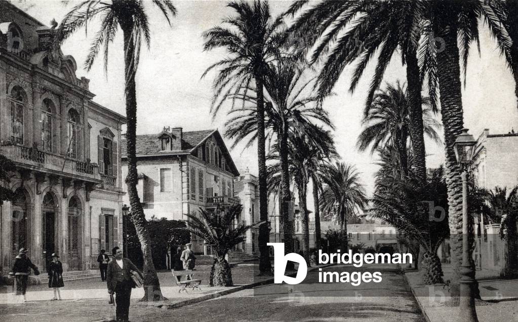 View of the avenue de Belgique a Hyeres, Var Postcard around 1930