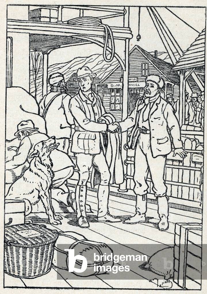 Illustration for White Fang written by Jack London, 1932