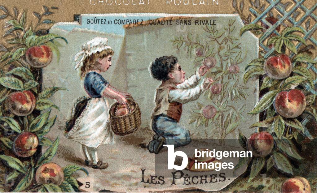 enfants picking les peches in Montreuil and Fontainebleau near Paris. End of 19th century (chromolithograph)