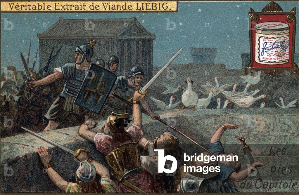 Image of The sacred geese of the Capitol of Toulouse, alerting the