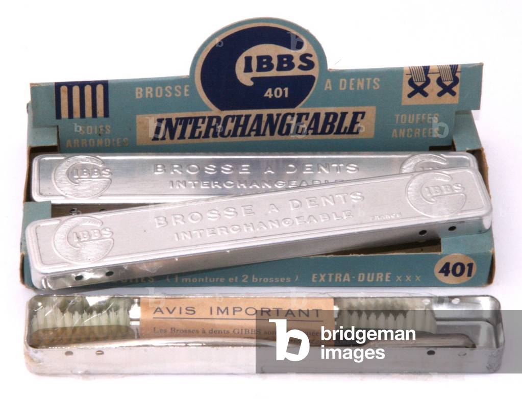 Brosse a dents Gibbs interchangeable
