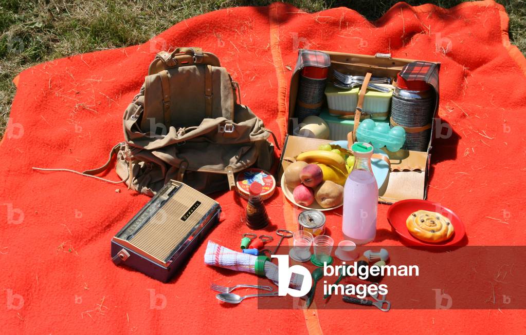 The necessities a picnic