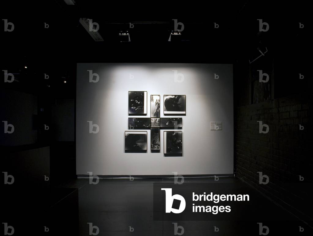 Artwork by Gilbert and George. The exhibition “” Passage du temps””, Collection Francois Pinault Fondation, at the Tri Postal de Lille (Nord, Pas de Calais), 2007-2008.