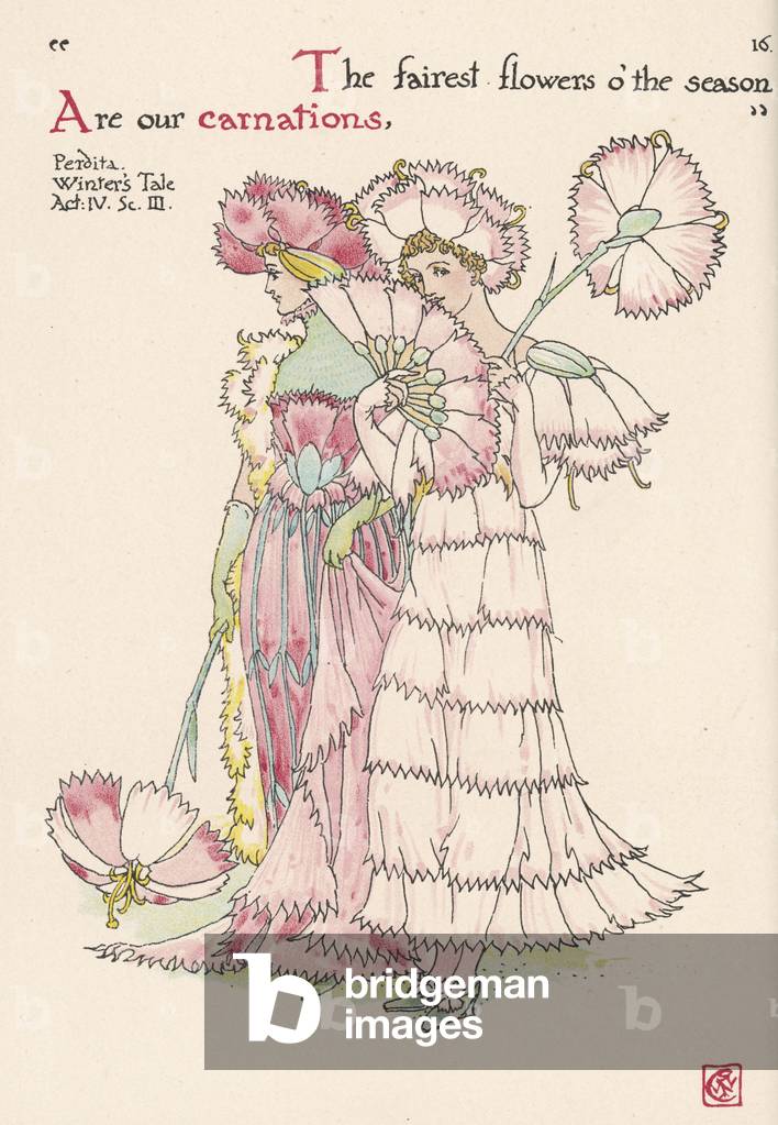 Bild von Druck "Pflanzen - Dianthus" 1906 von Walter Crane