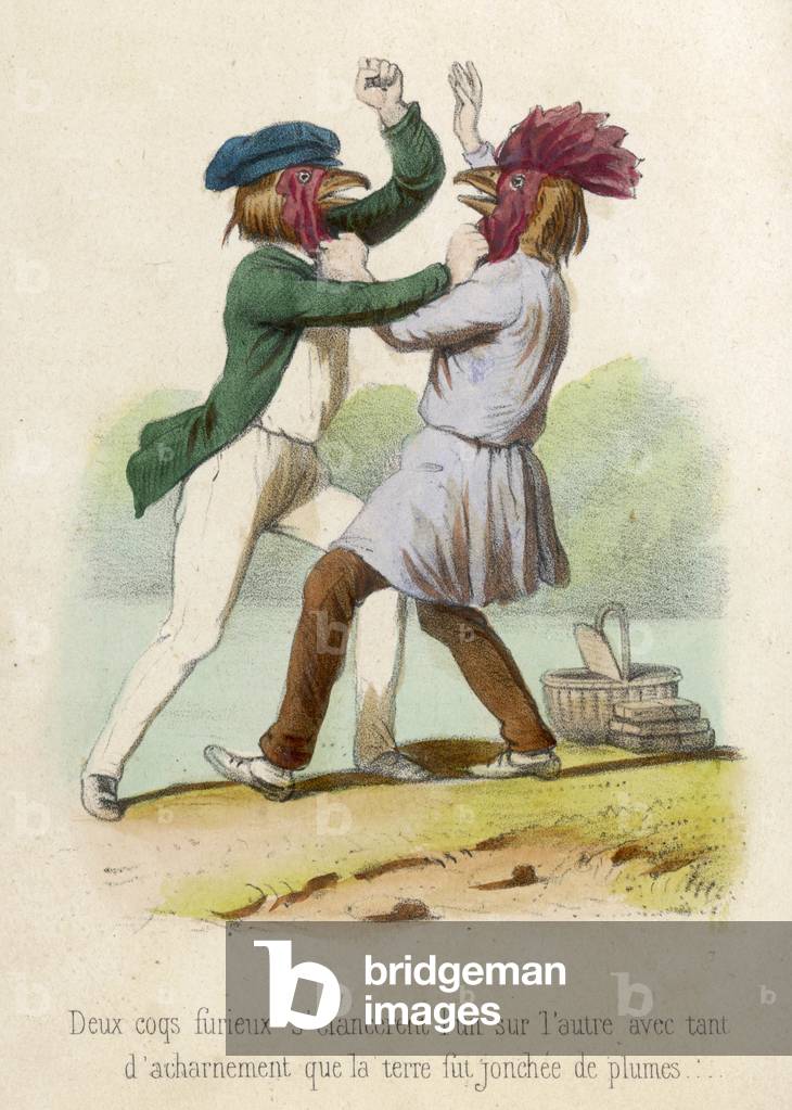 Bild von Druck "KAMPF GEGEN SCHWÄNZE" 1855 von Louis Lassalle