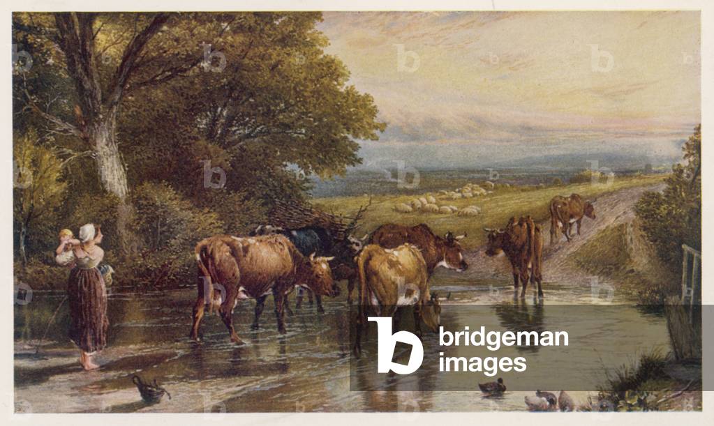 VIEH KEHRT NACH HAUSE