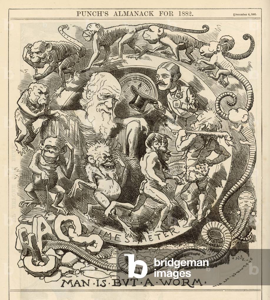 Immagine di Stampa "Charles Darwin" 1882 di Edward Linley Sambourne
