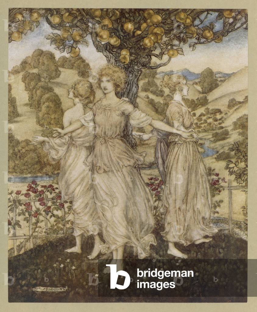 Immagine di Stampa "Esperidi" di Arthur Rackham