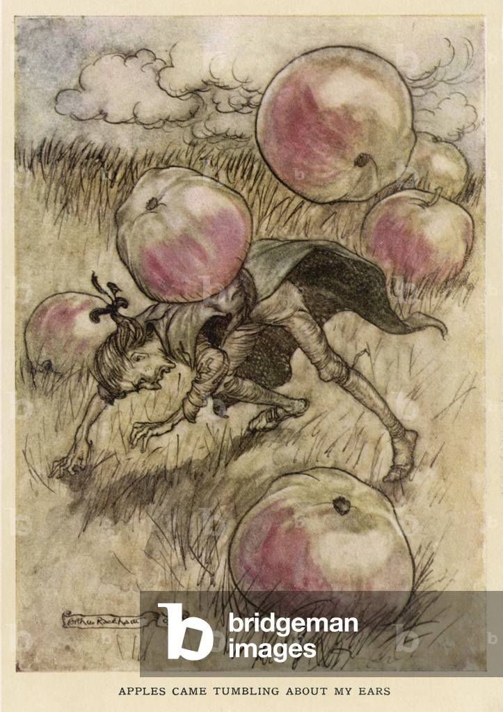 Image of Print depicting Gulliver - the Apples 1909 by Arthur Rackham