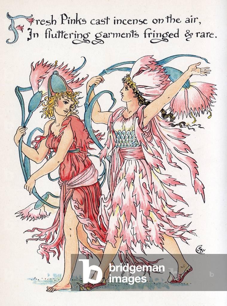 Immagine di Stampa "Dianthus (rosa)" 1895 di Walter Crane