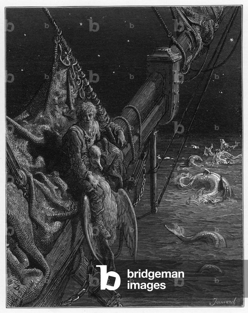 Mariner, Watersnakes