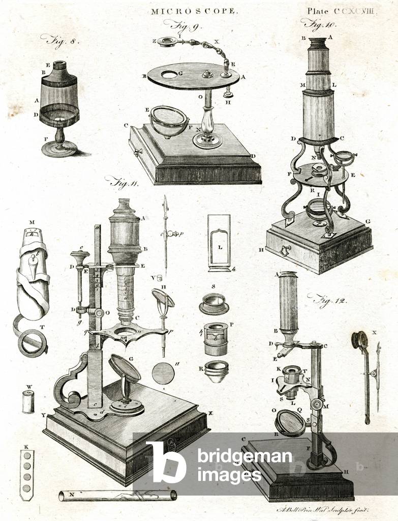 Image of Engraving depicting MICROSCOPE/ENC. BRIT. 1768