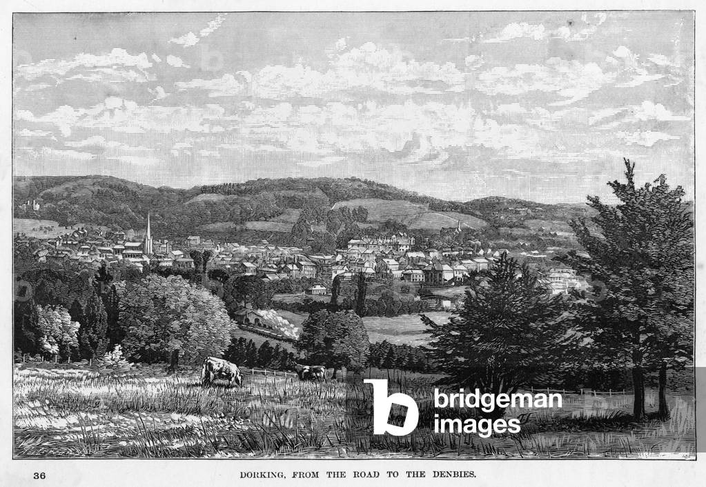 Image of Engraving depicting DORKING 1880