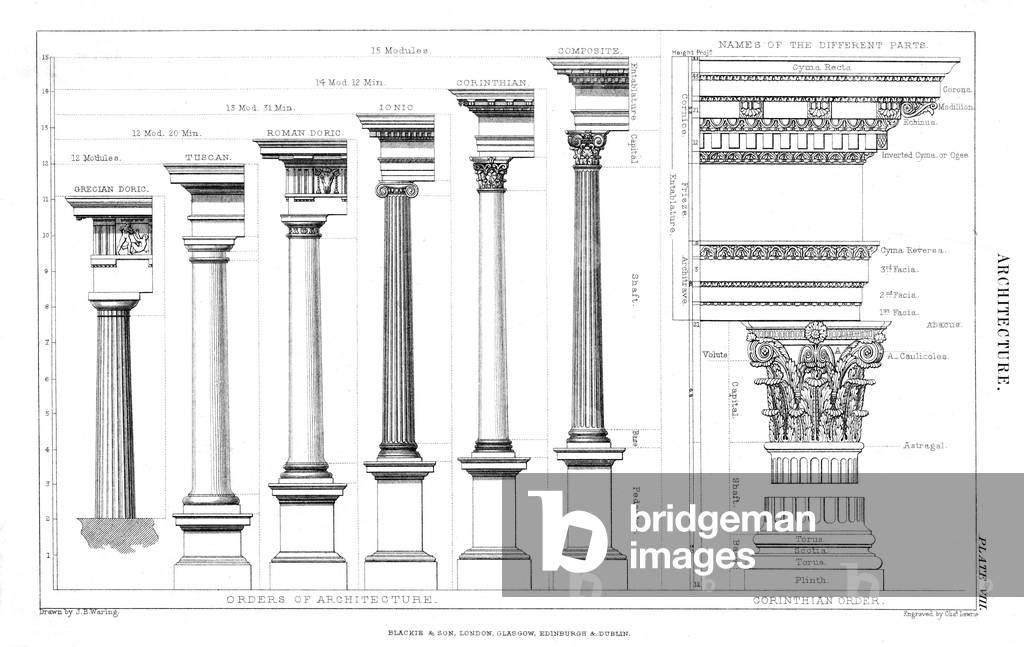 Image of Engraving depicting COLUMNS/CLASSICAL 1801