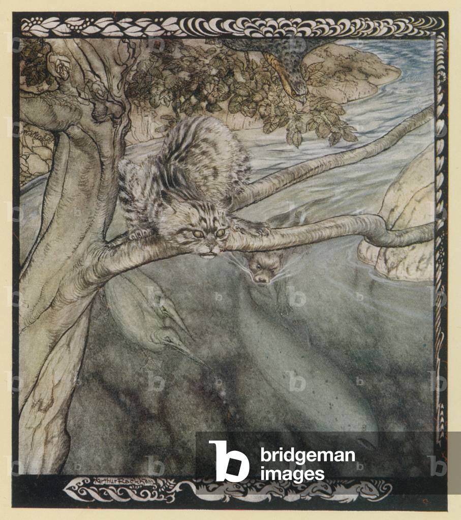 Bild von Druck "THUNFISCH ALS LACHS" von Arthur Rackham