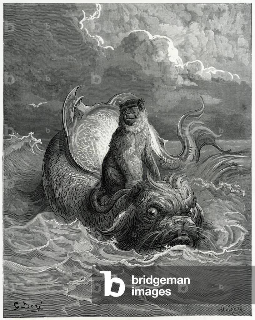 Image of Engraving depicting MONKEY AND DOLPHIN by Gustave Dore