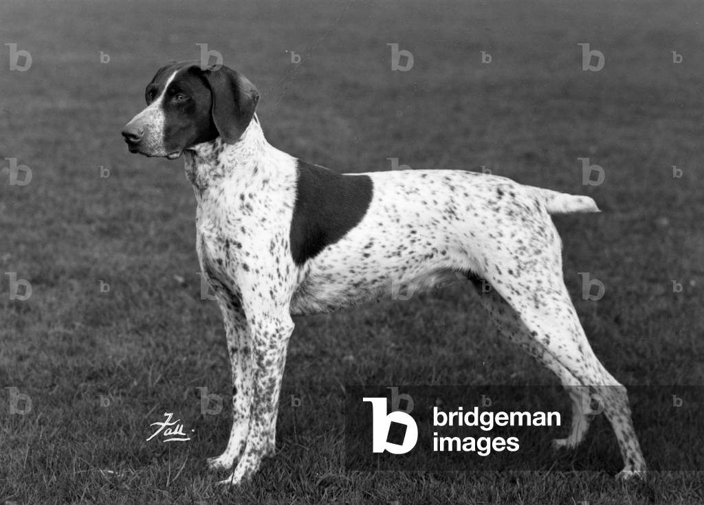 HERBST/DEUTSCHER ZEIGER/1963