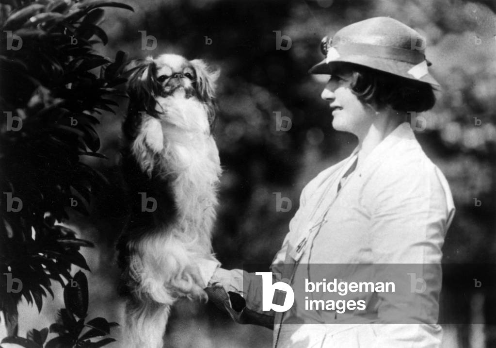 Image of Photography depicting FALL/PEKINGESE/OWNER 1936 by Thomas Fall