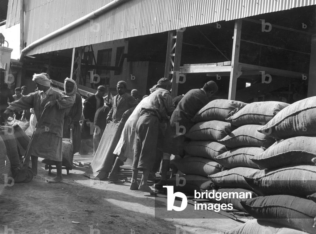 Image of Photography depicting PHOSPHATE MINING 1930 by Barnaby's Studios Ltd