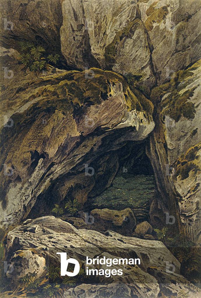 Bild von Druck "LEUCHTEND MOOS" 1913 von Ernst Heyn